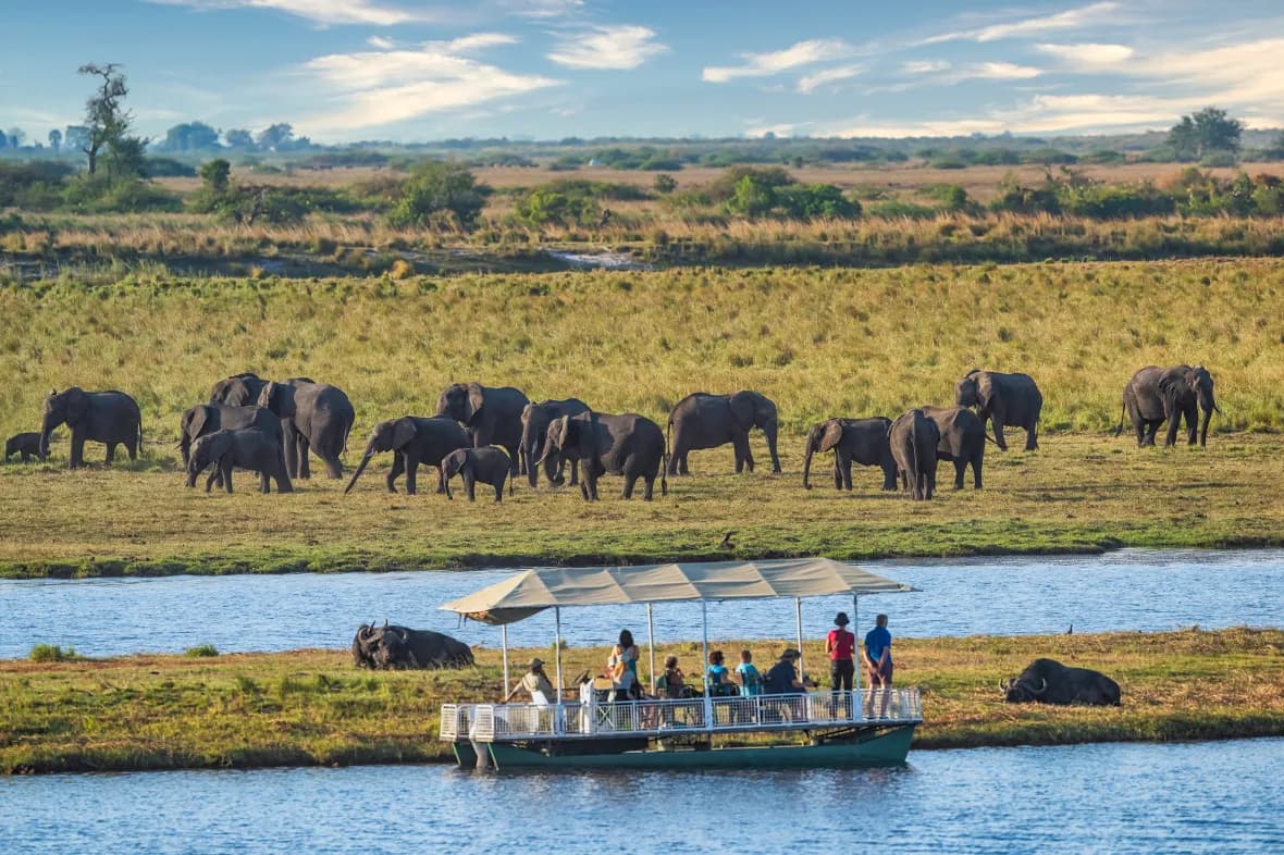 Guests on a small safari boat watch an elephant herd grazing the river floodplain