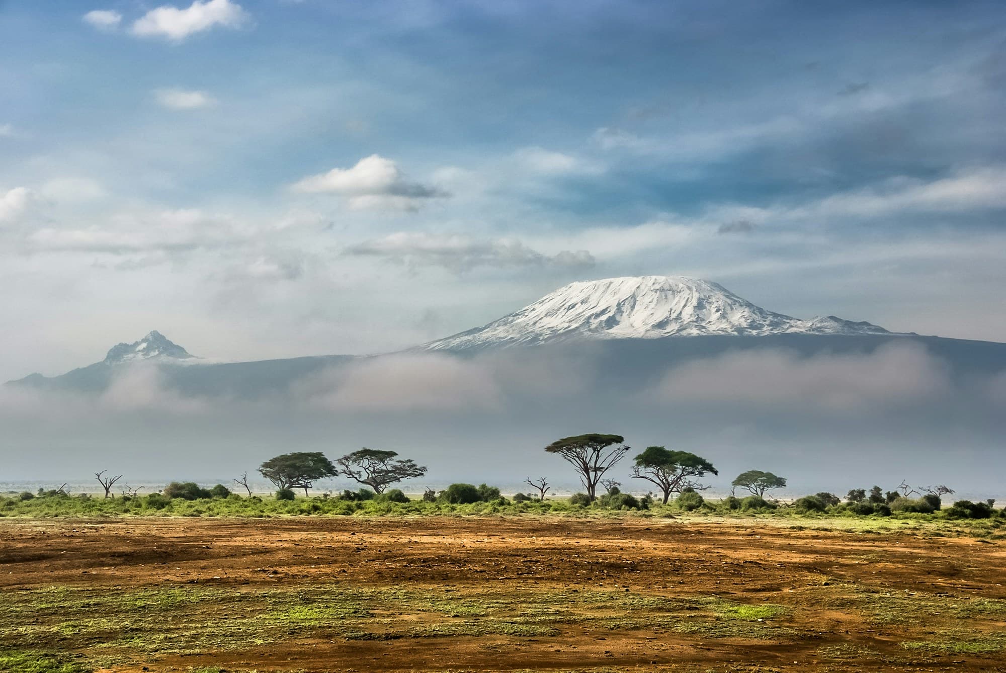 Snow-capped Kilimanjaro rising above the Amboseli savanna dotted with acacias
