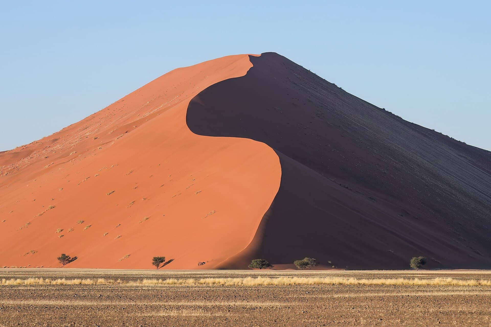 Red curve of Dune 45 at sunrise in Sossusvlei, Namibia