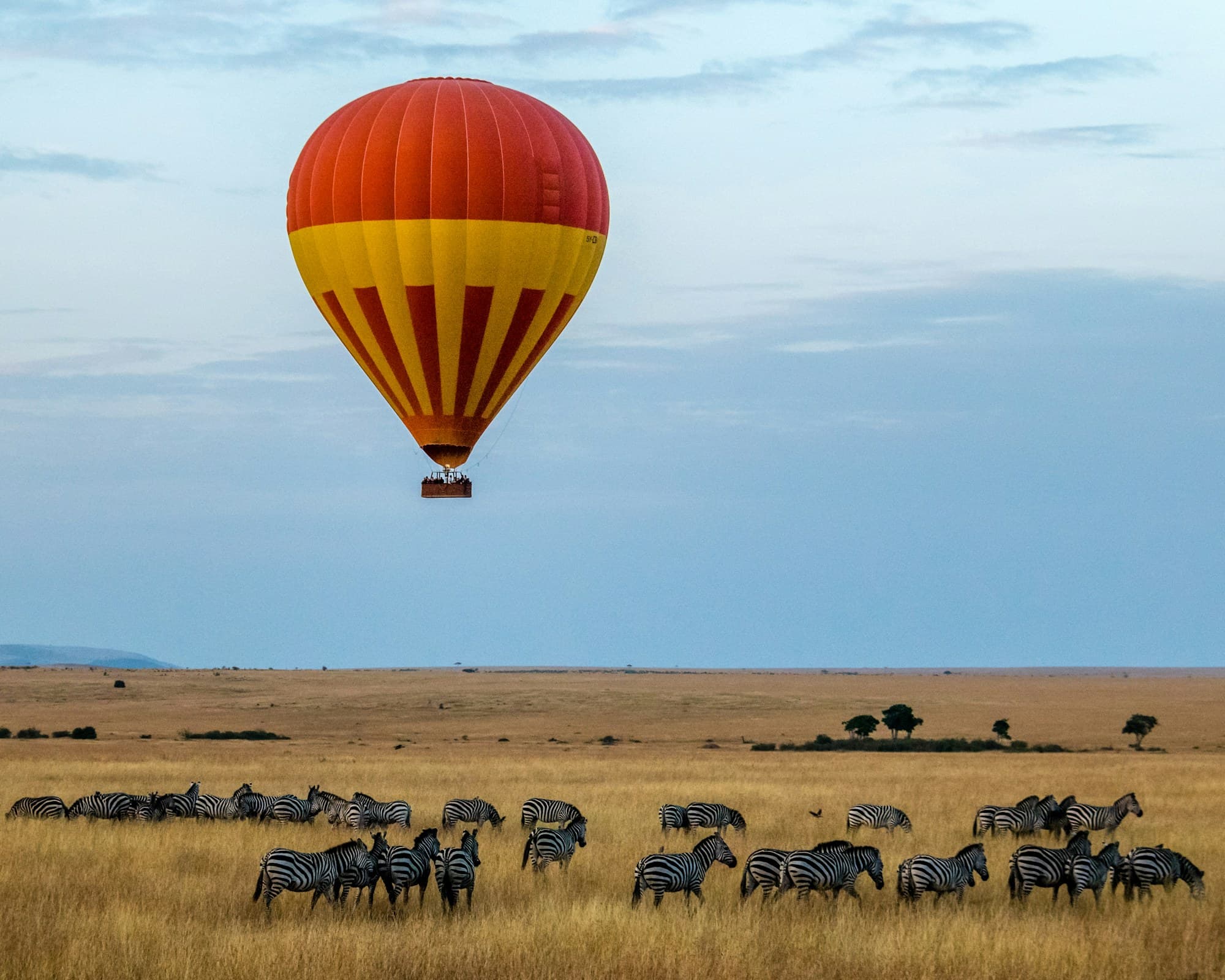 Aerial view over savanna herds from a hot-air balloon at first light
