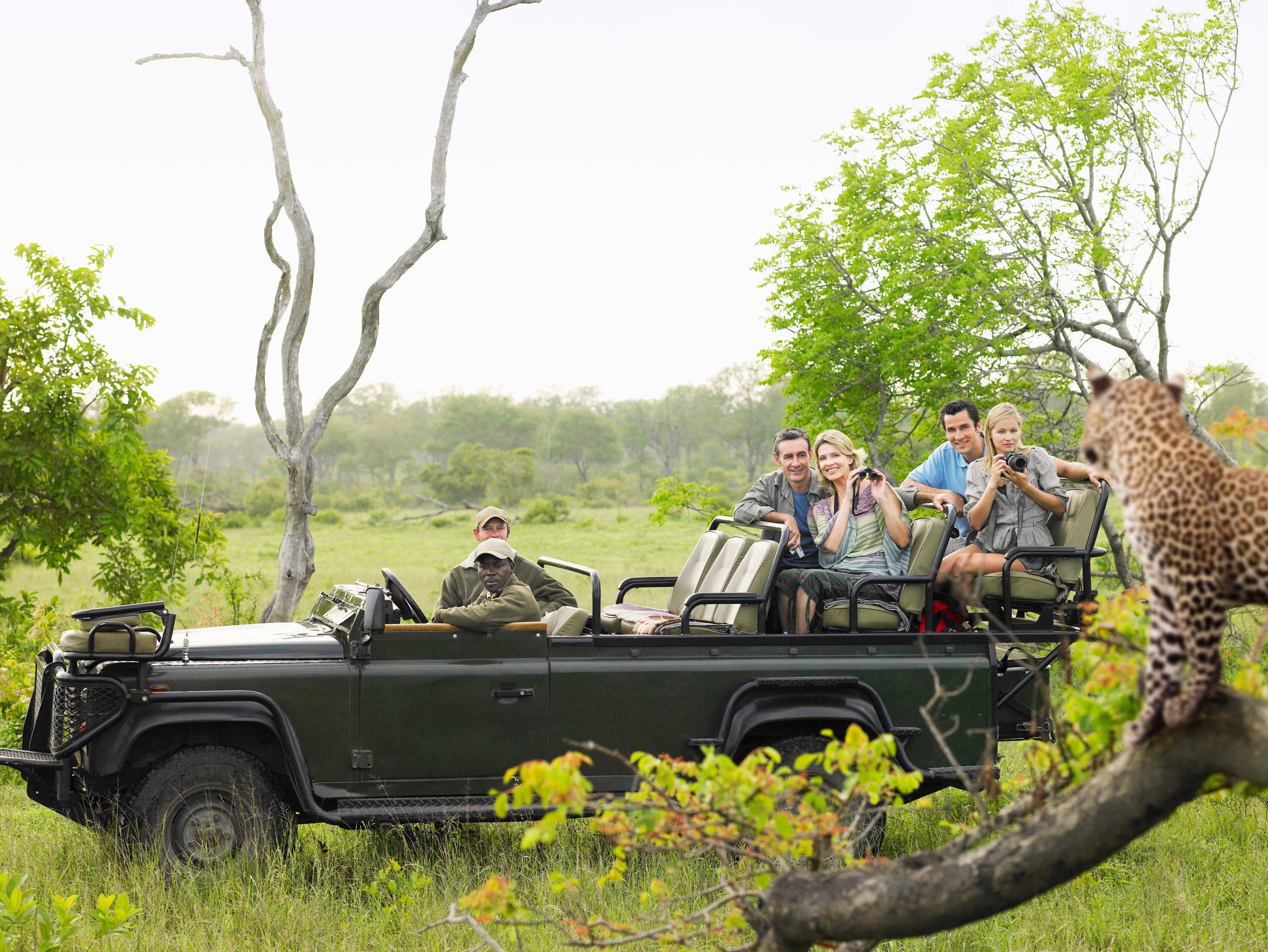 Safari guests in an open vehicle watching a leopard at close range on a private game drive
