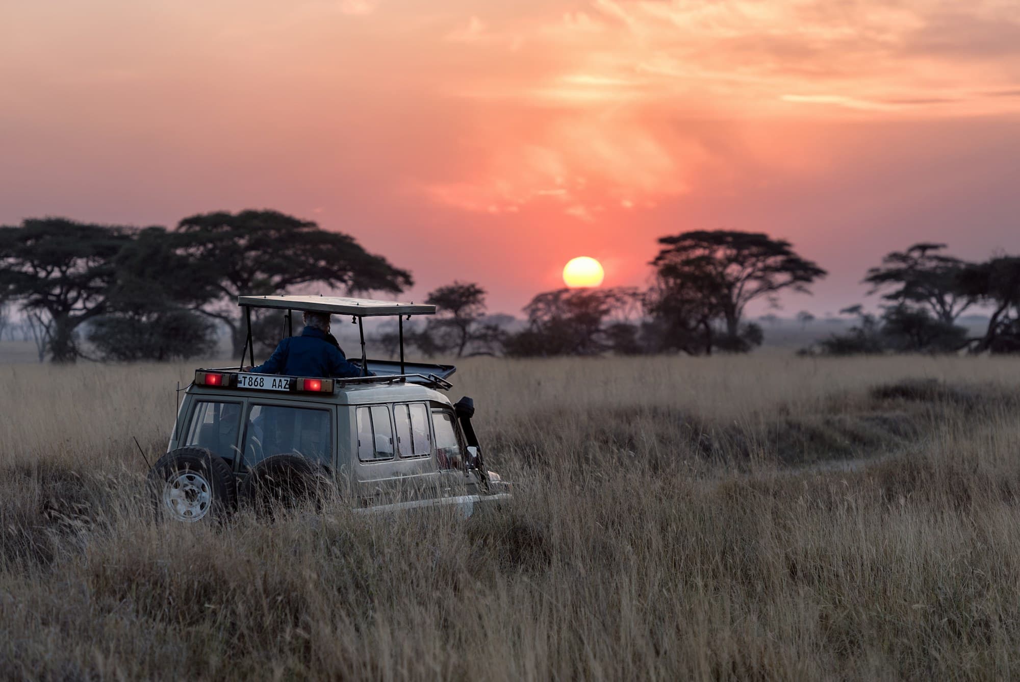 Open safari vehicle with guests on the savanna beneath a dramatic sunset