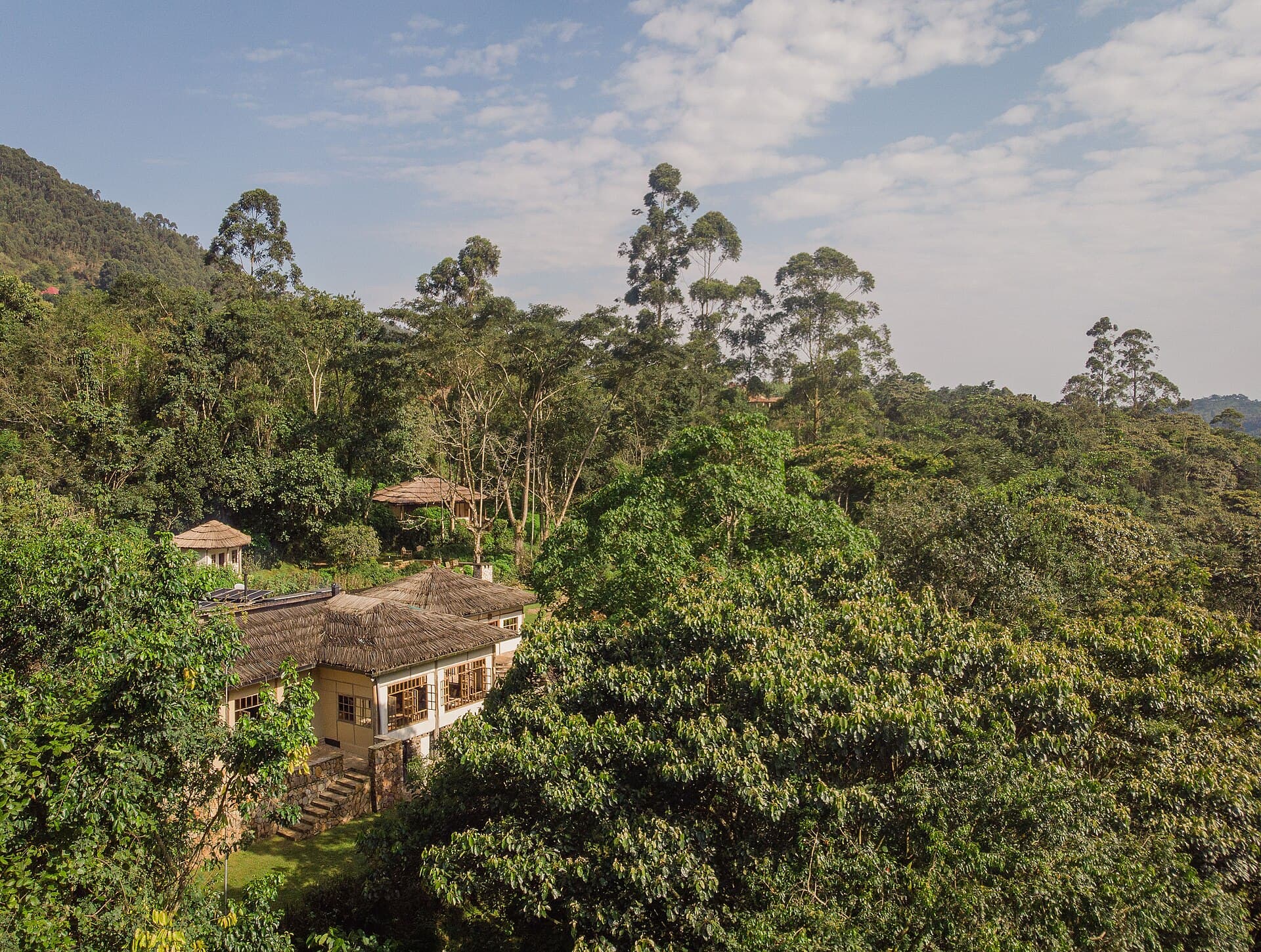 Virunga volcanoes rising over lodge rooftops and farmland