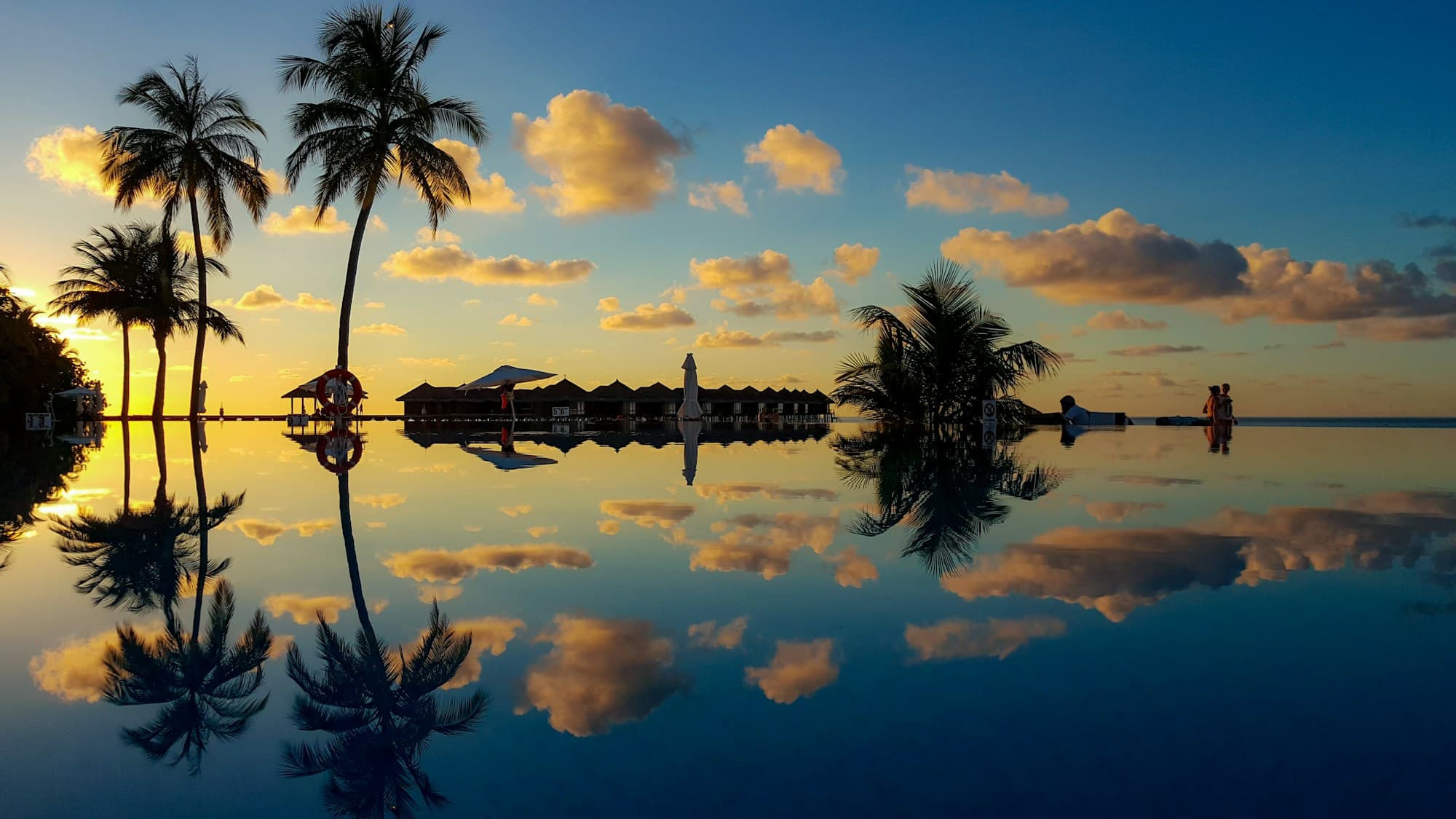 Palm trees mirrored in still water at a golden island sunset