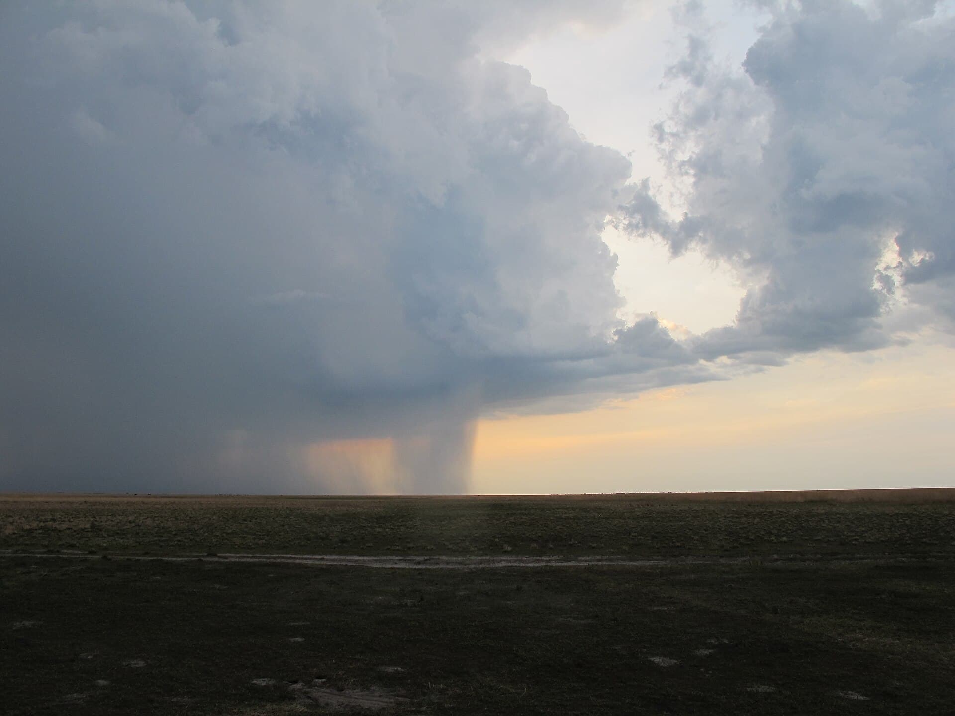 Storm light over the open grass plains of Liuwa