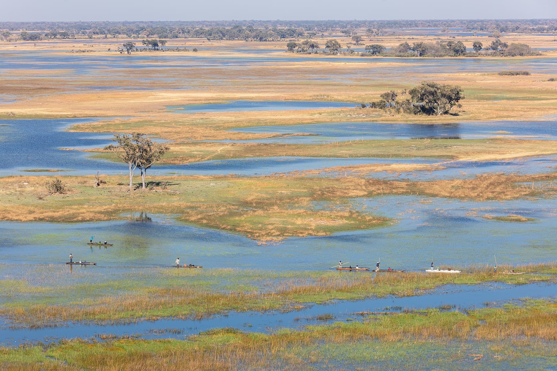 Aerial view over the winding channels and islands of the Okavango Delta