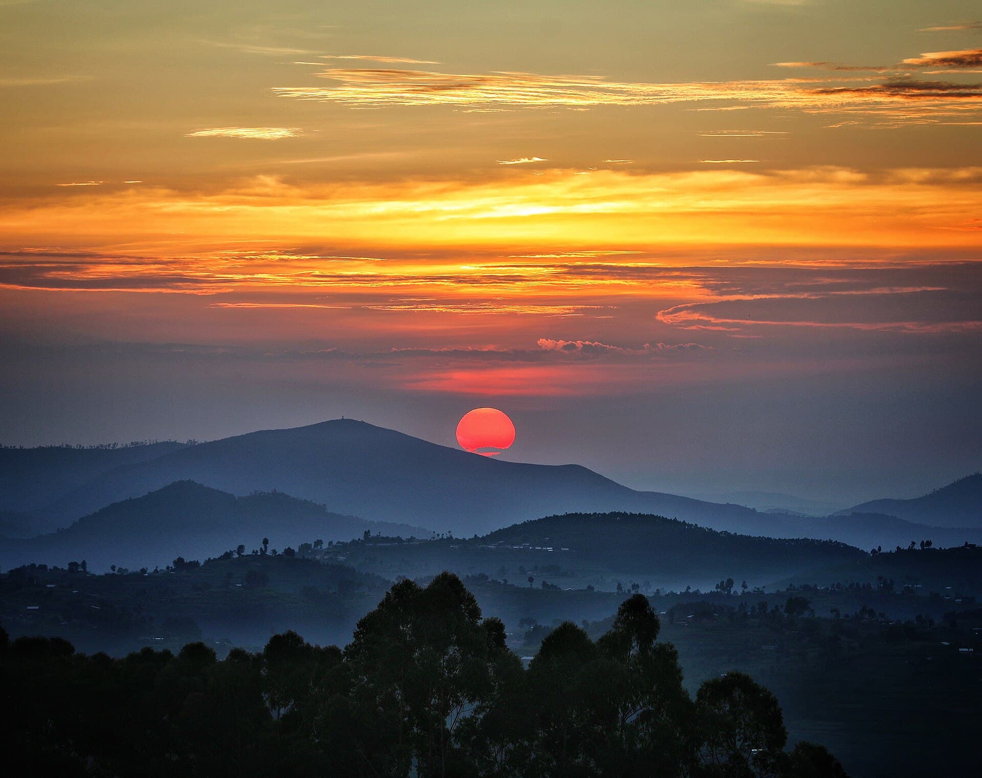 Forested ridgelines of Nyungwe at dusk