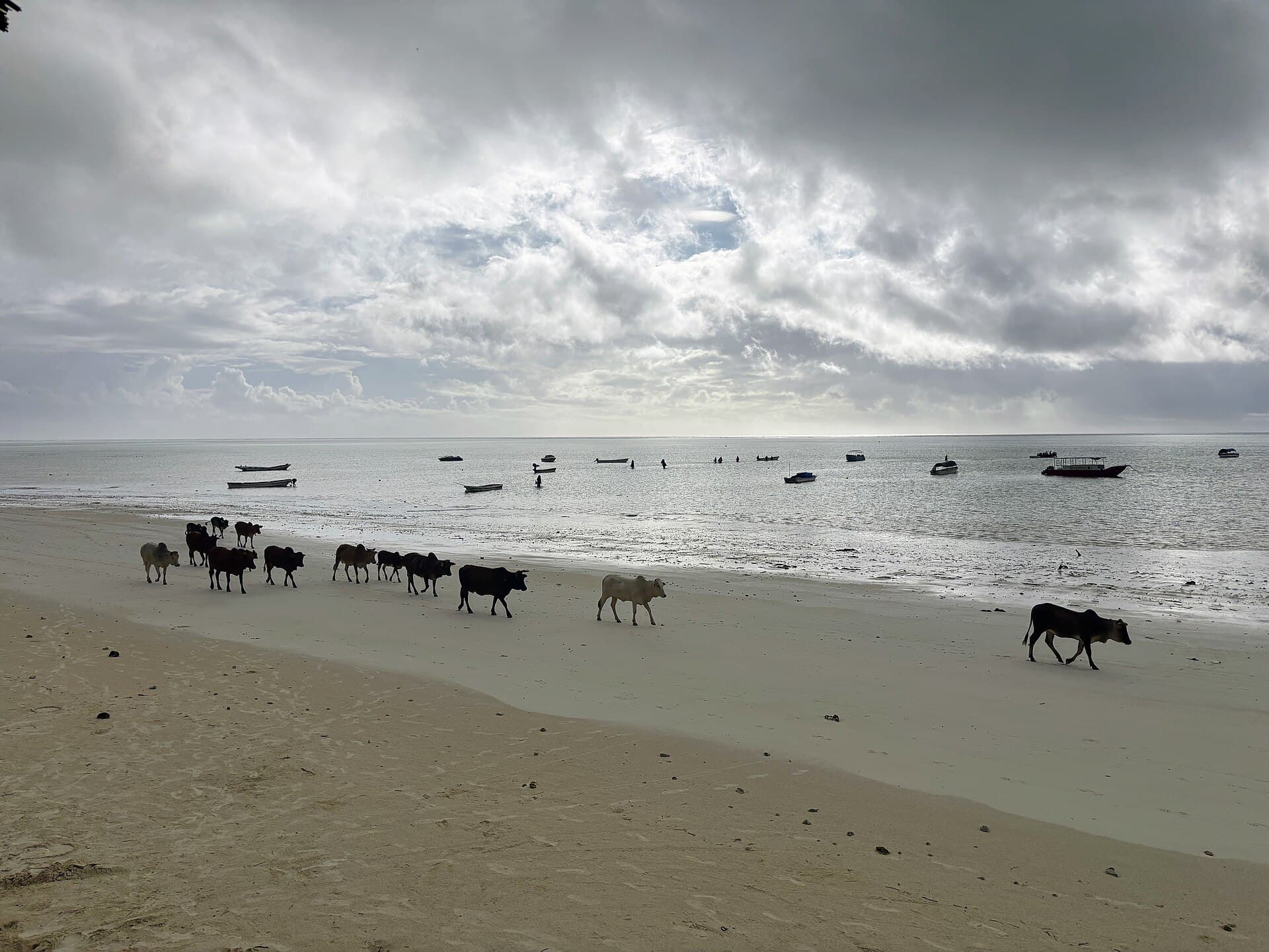 Wide tidal beach at Paje on Zanzibar east coast
