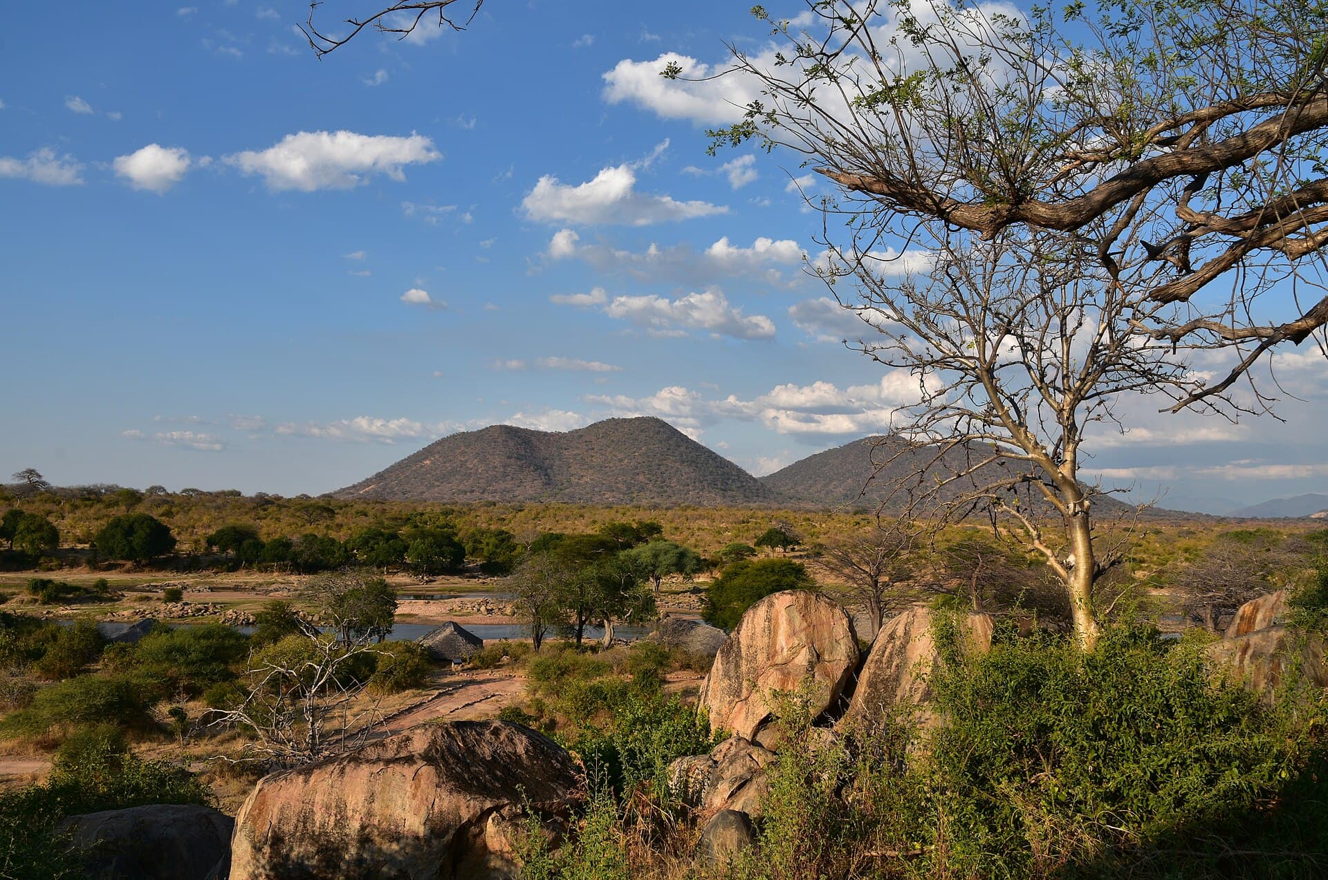 Wild kopje-studded savanna of Ruaha National Park
