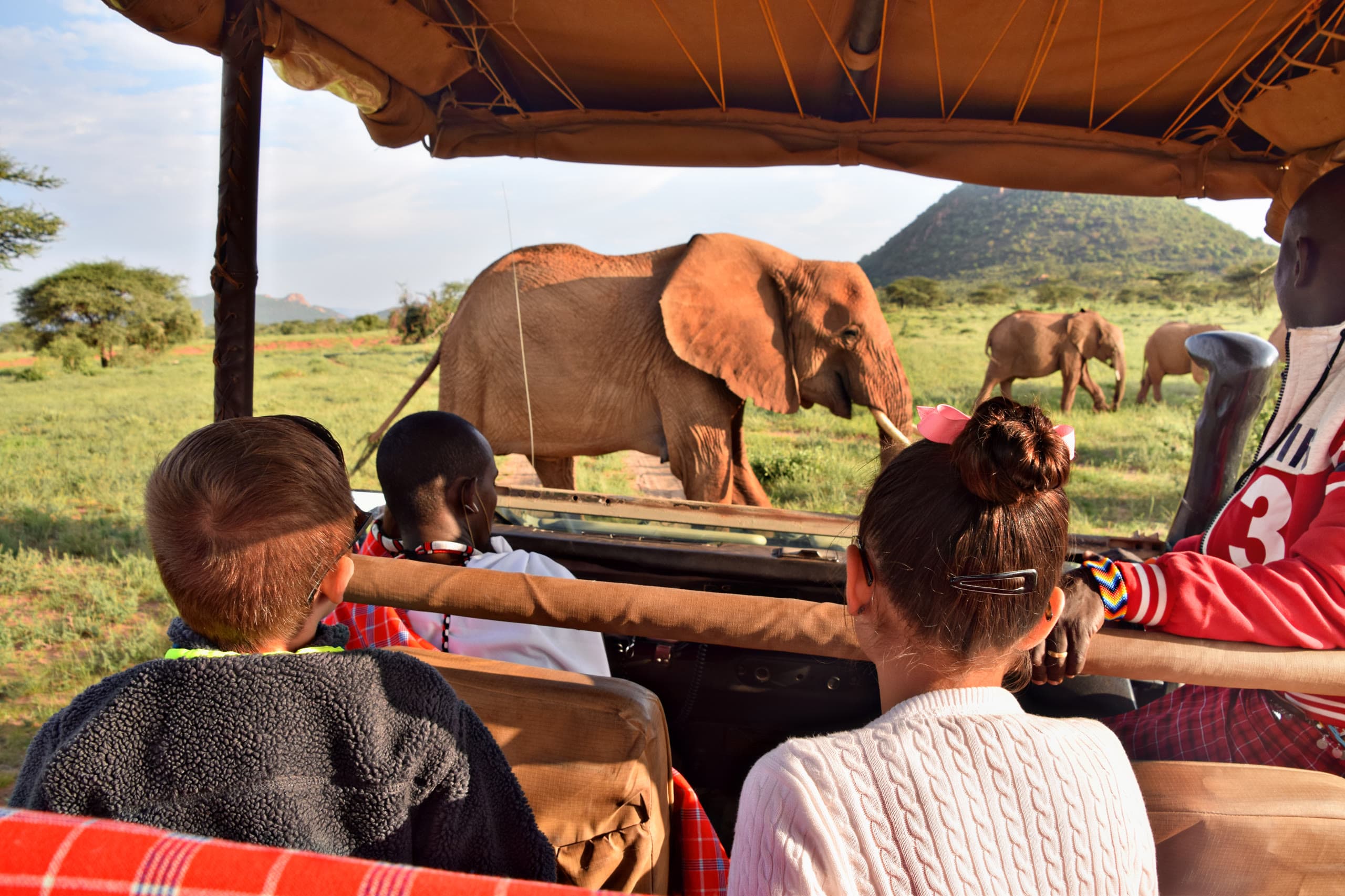 Safari guests watching a herd of elephants from an open vehicle on a family game drive