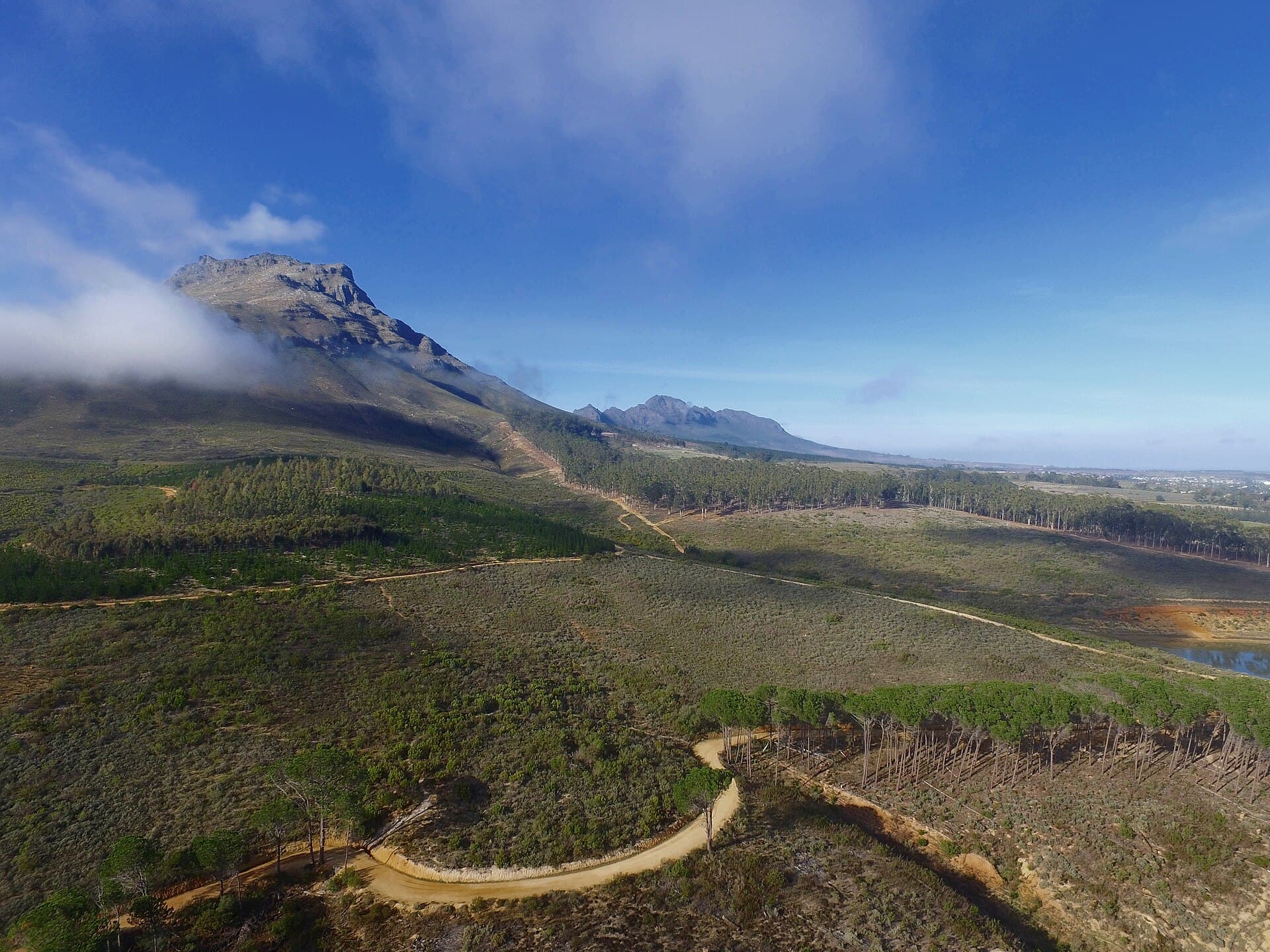 Estate wines of Franschhoek in the Cape Winelands